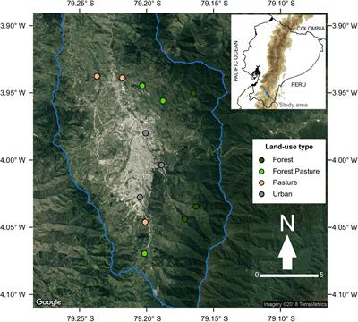 Disrupting the Biodiversity–Ecosystem Function Relationship: Response of Shredders and Leaf Breakdown to Urbanization in Andean Streams